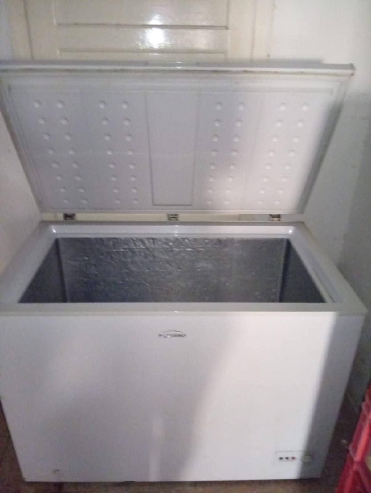 Arca congeladora 325L
