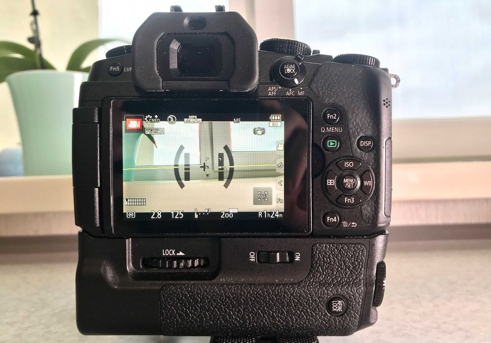 Panasonic Lumix DMC-G80 body + бустер