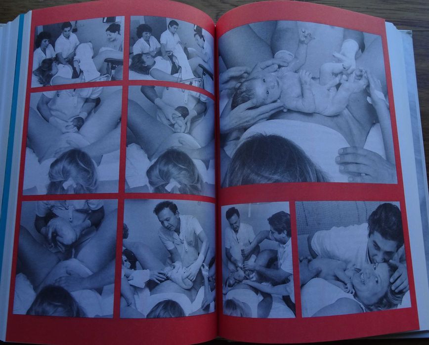 Vou Ter Um Bébé de Laurence Pernoud