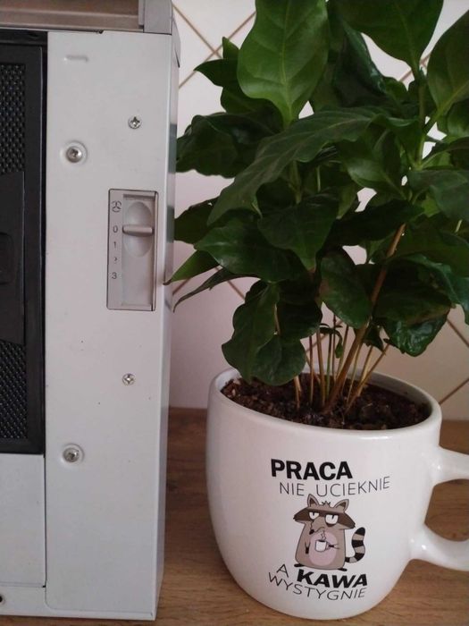 Okap Franke inox 60cm