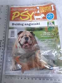 Psy -Buldog Angielski plakat + figurka