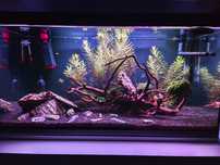 Akwarium 112l 80cm komplet