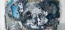 Bordalo ii - young koala