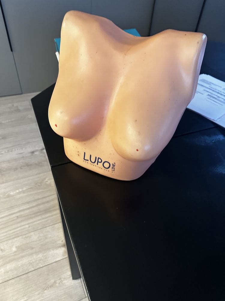 Manekin na biustonosze LUPO