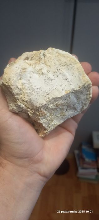 Minerały magnezyt z dendrytami
