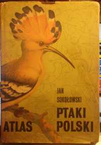 Ptaki Polski  - Jan Sokołowski