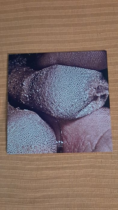 Black Bombaim – Titans