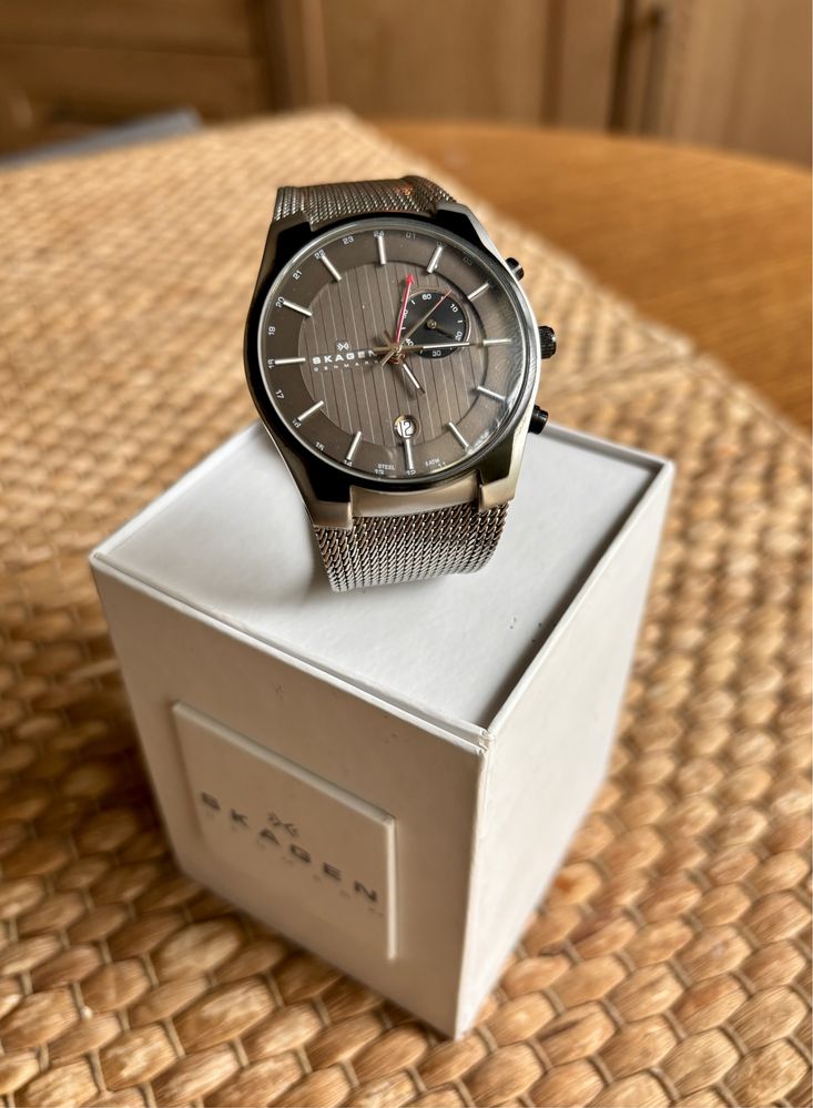 Elegancki  Modny Zegarek Firmy Skagen