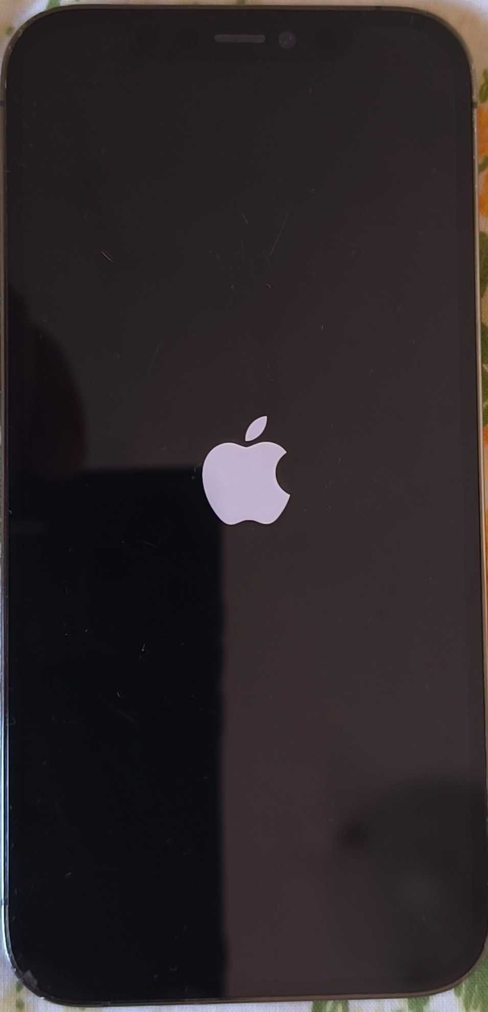 Iphone 12 Pro 256GB 100% Bateria