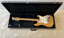 G&L S500 91,Charvel StCustom,AriaProII 84,Ibanez ST-300 79 RG360 89