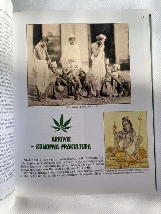 Czy marihuana jest z konopi? Kamil Sipowicz