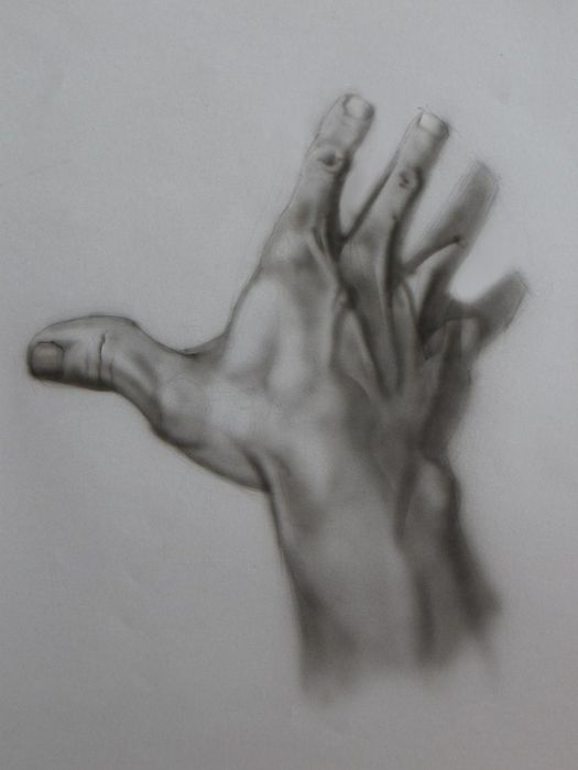 Приватні уроки малювання академічний рисунок та живопис репетитор