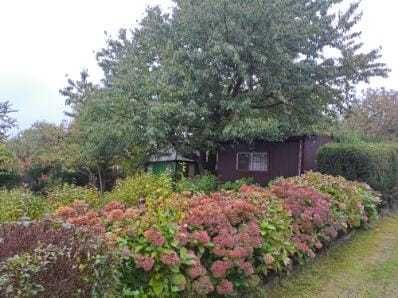 Działka w ROD "Rekreacja" Wieliczka, ul. Mała