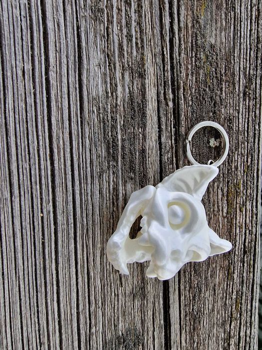 porta chaves cranios animais imprimido 3d