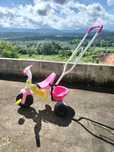 Triciclo smoby menina