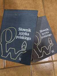 Słownik języka polskiego Tom 2 i 3