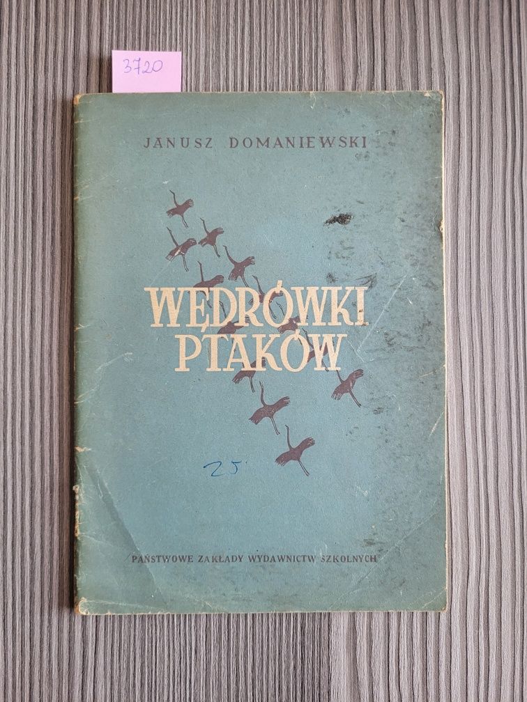 3720. "Wędrówki ptaków" Janusz Domaniewski