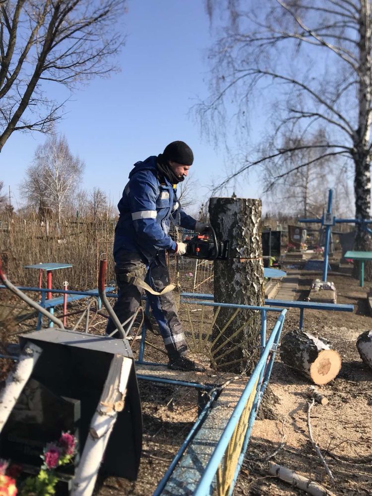Арборист!!!Спил деревьев! Обрезка сада! Порезка дерева на дрова!