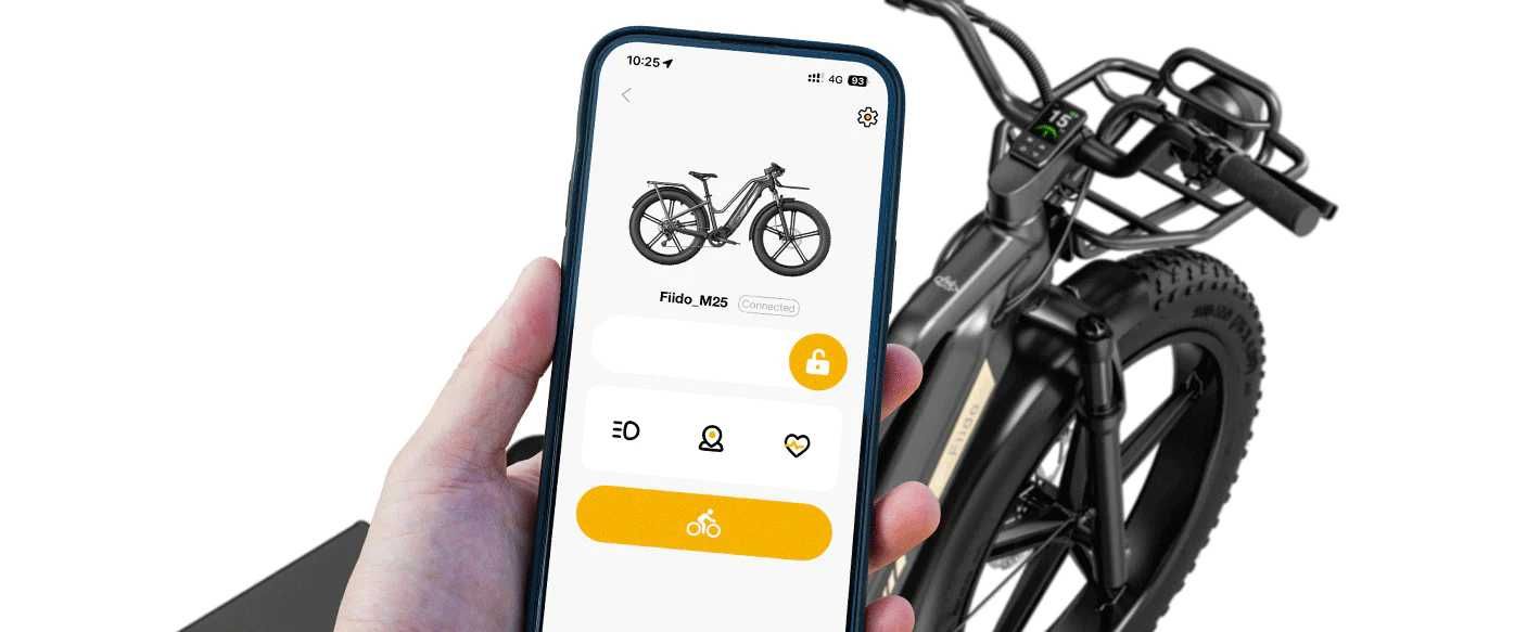 Bicicleta elétrica Fiido Titan Robust Cargo