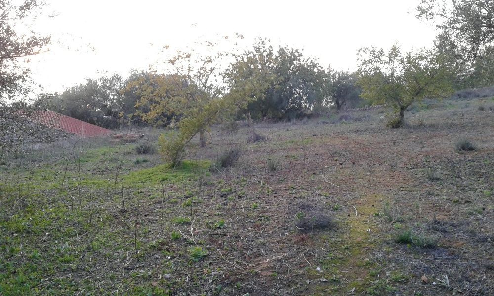 Vende-se casa e terreno