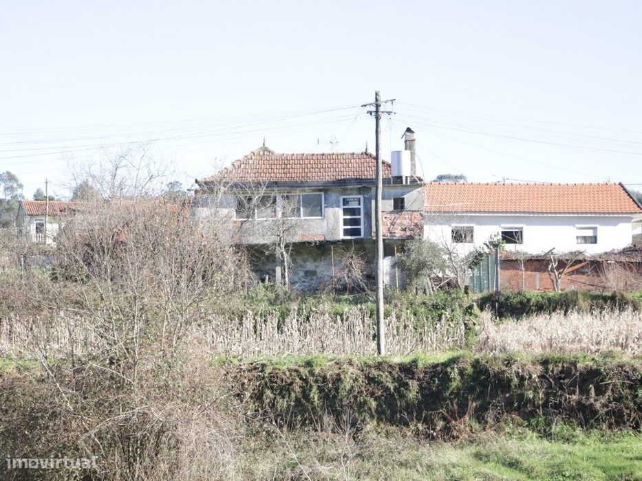 Moradia T3 em Junqueira, Vale de Cambra - Para Recuperar