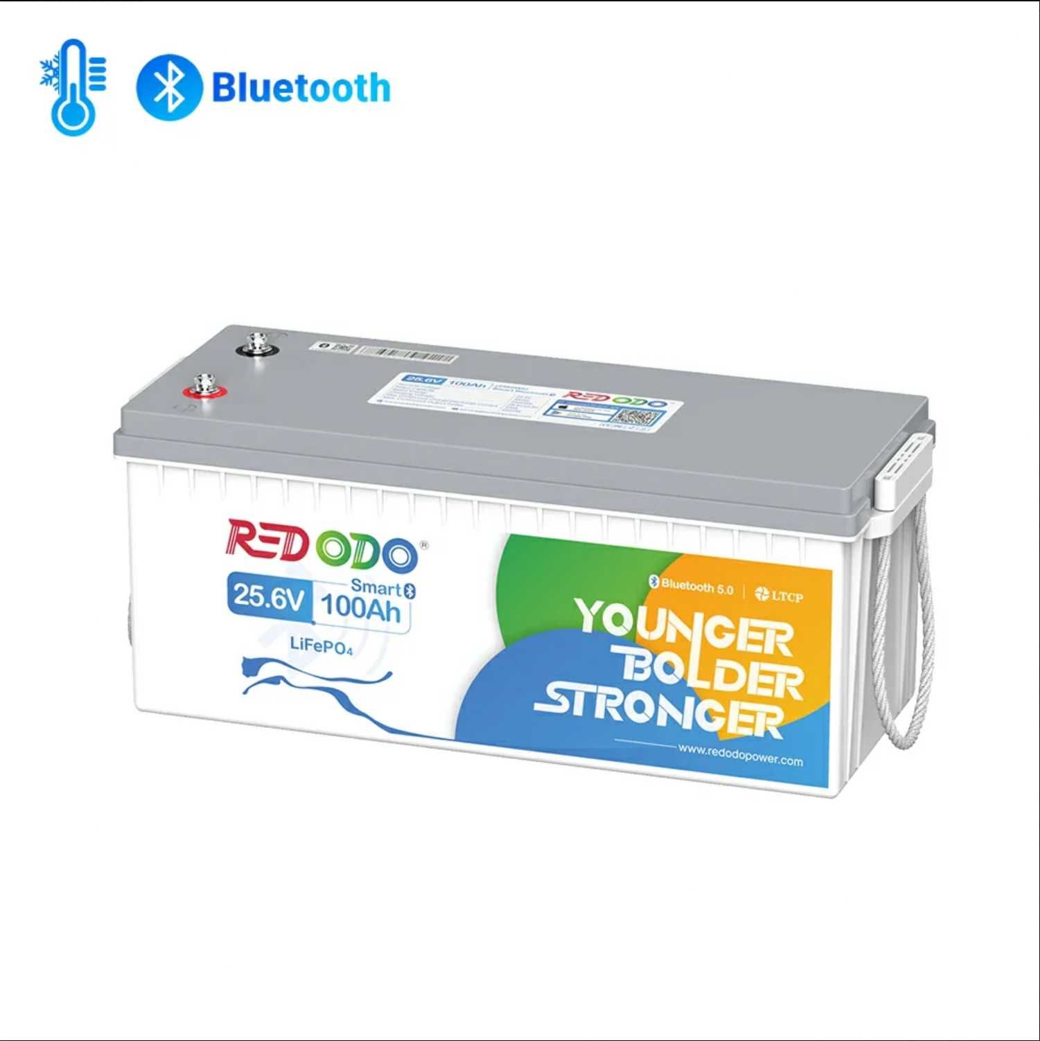 Lifepo4 Redodo акумуляторна батарея 24V 100Ah, BMS 2560Wh Bluetooth