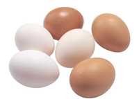 Бройлерів інкубаційні яйця