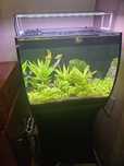 Aquário fluval Flex 57lt mais armário