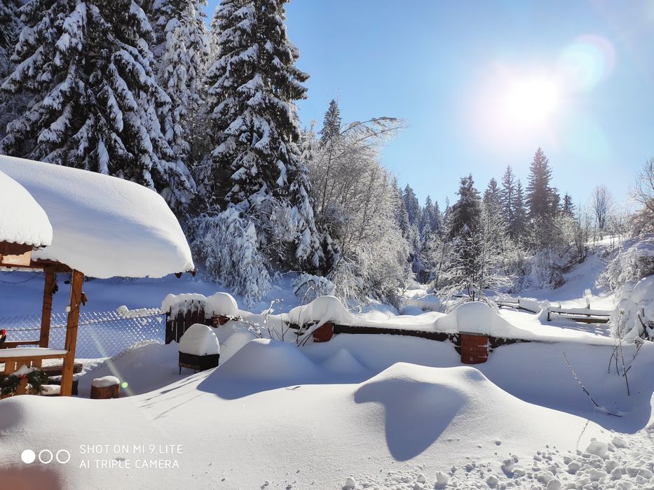Оренда житла, будинку. Новий Рік. Відпочинок. Садиба Карпати Микуличин