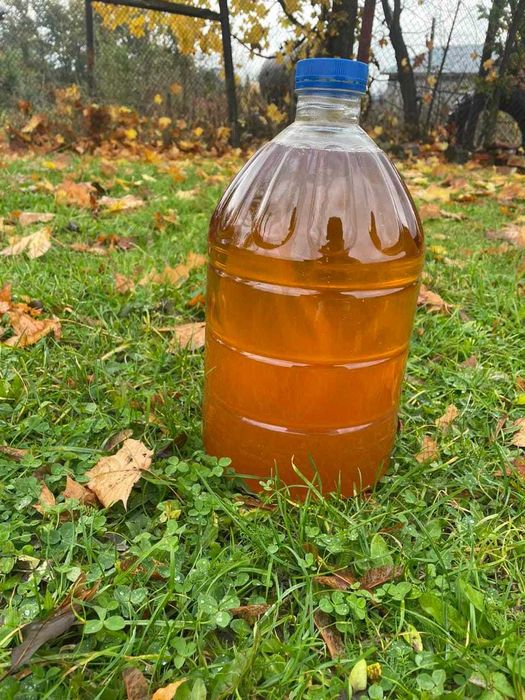 Олія соняшникова та льлянна. Олія з льону