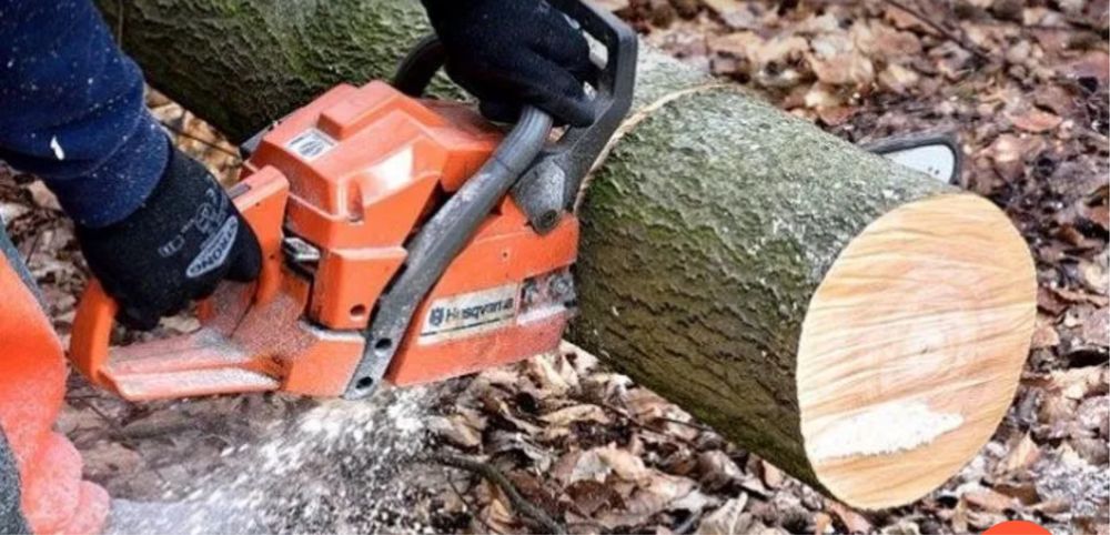 Зрізання дерев, послуги автовишки.