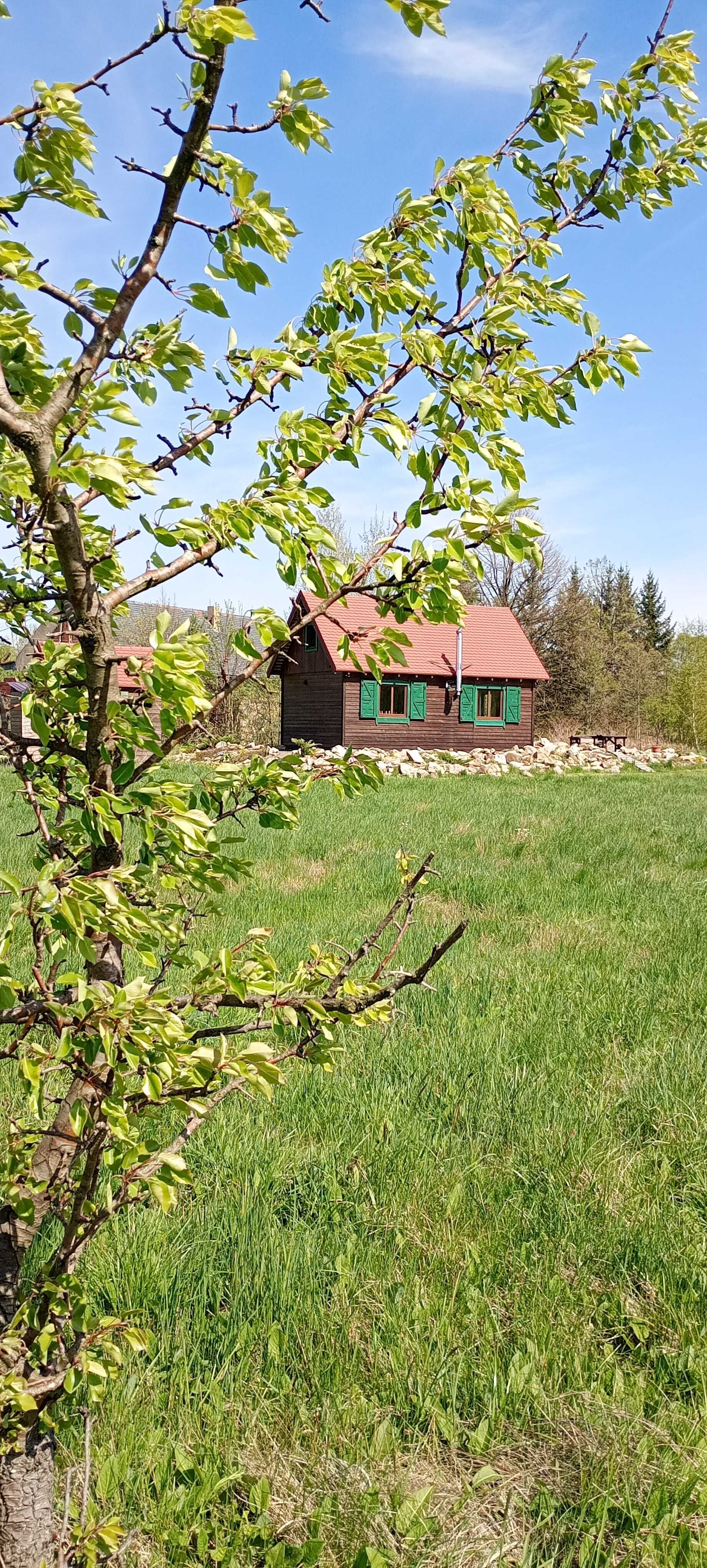 Domek w Górach Izerskich