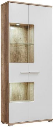 Mebloscianka pokojowa