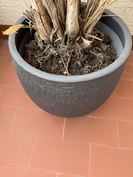 Vaso para planta