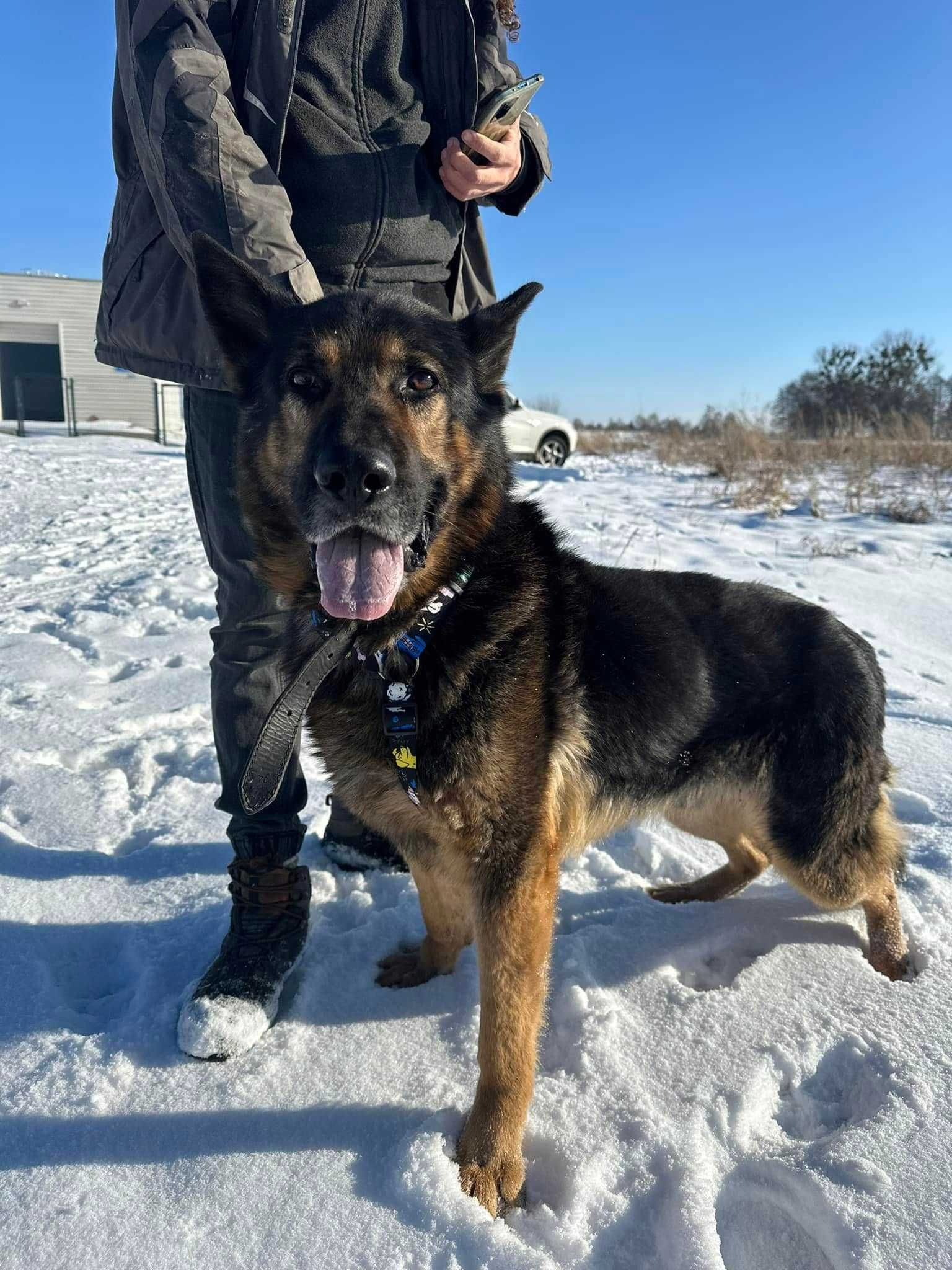 Hades: niewidzialny w schronisku, wyjątkowy w sercu