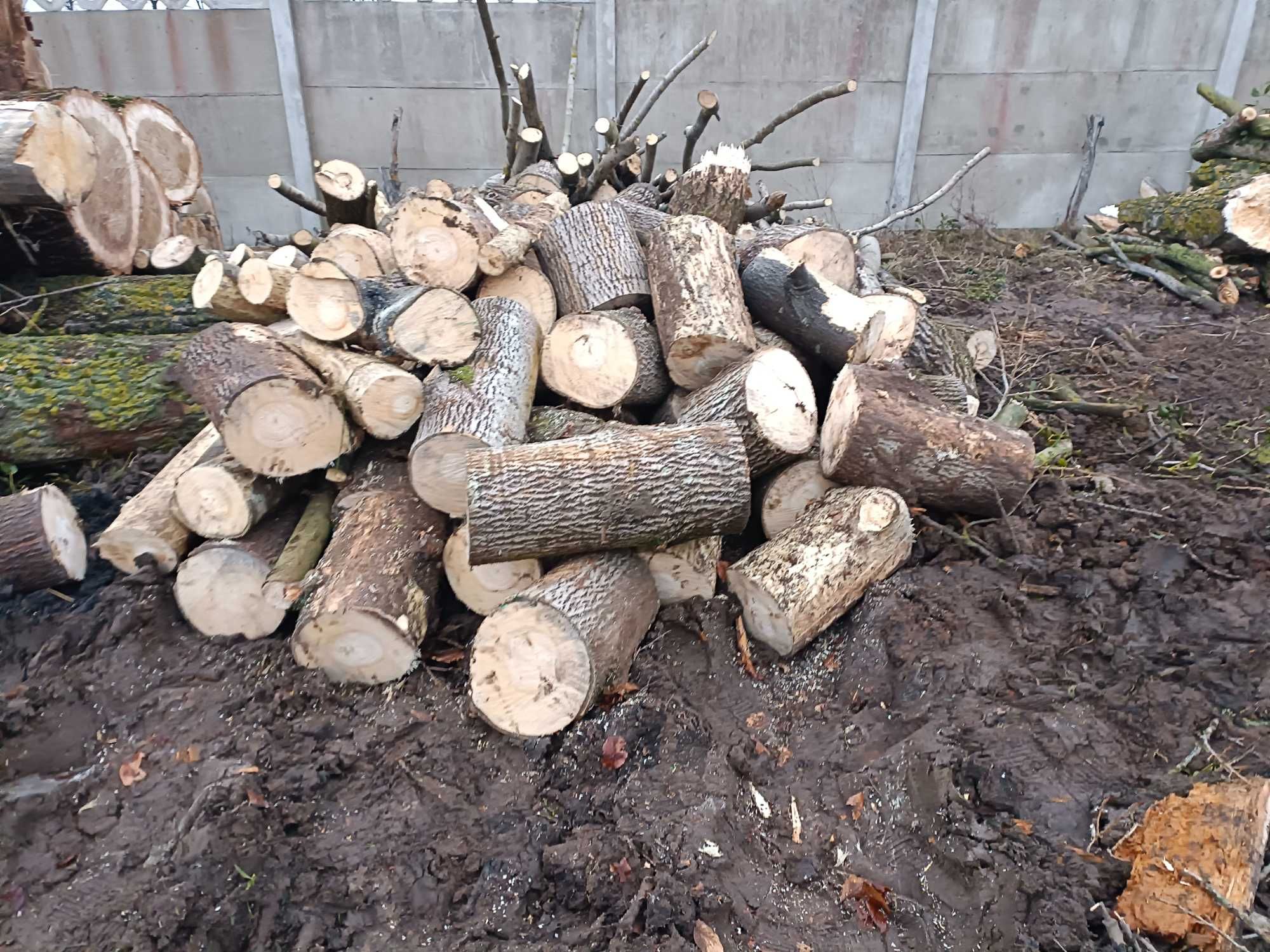 Topola na opał  sucha , świerk