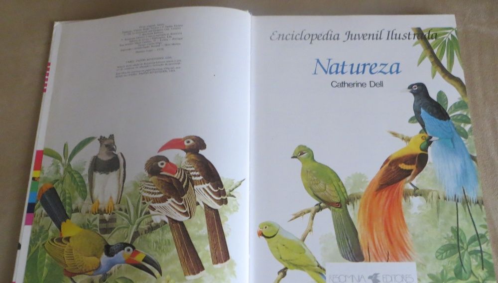 Passeio - Natureza Infanto - Juvenil Ilustrada