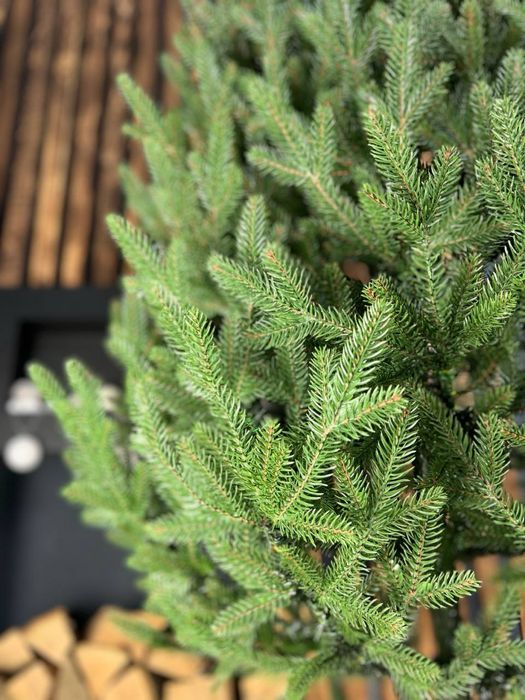 Ялинка Віденська лита зелена 1,8 м