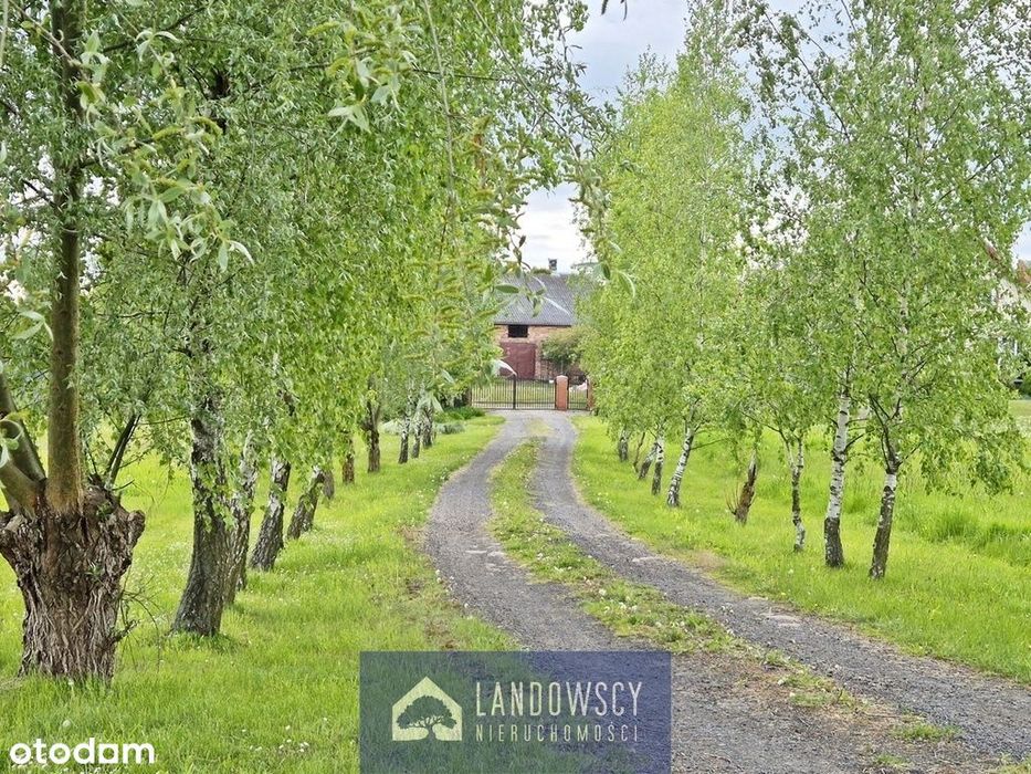 Gospodarstwo rolne 10 minut od węzła A1