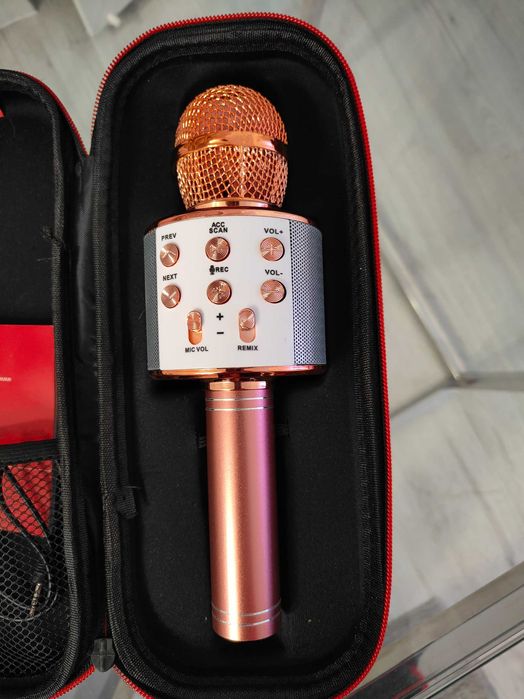 Mikrofon karaoke