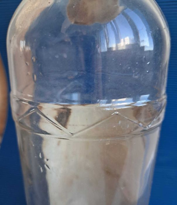 Antiga Garrafa de Rhum Caves Montanha