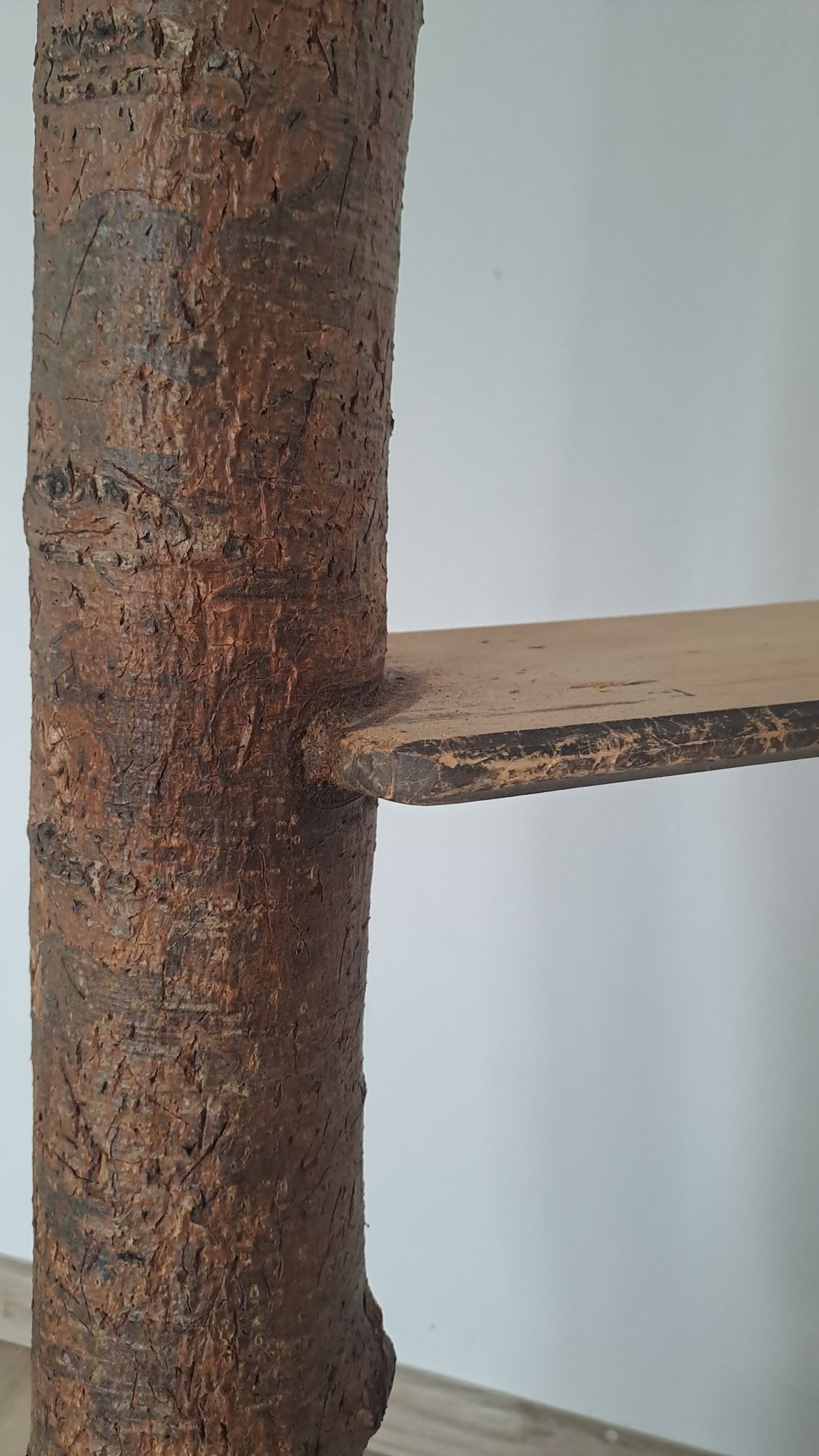 Naturalny drapak dla kotów / drzewo / hand made