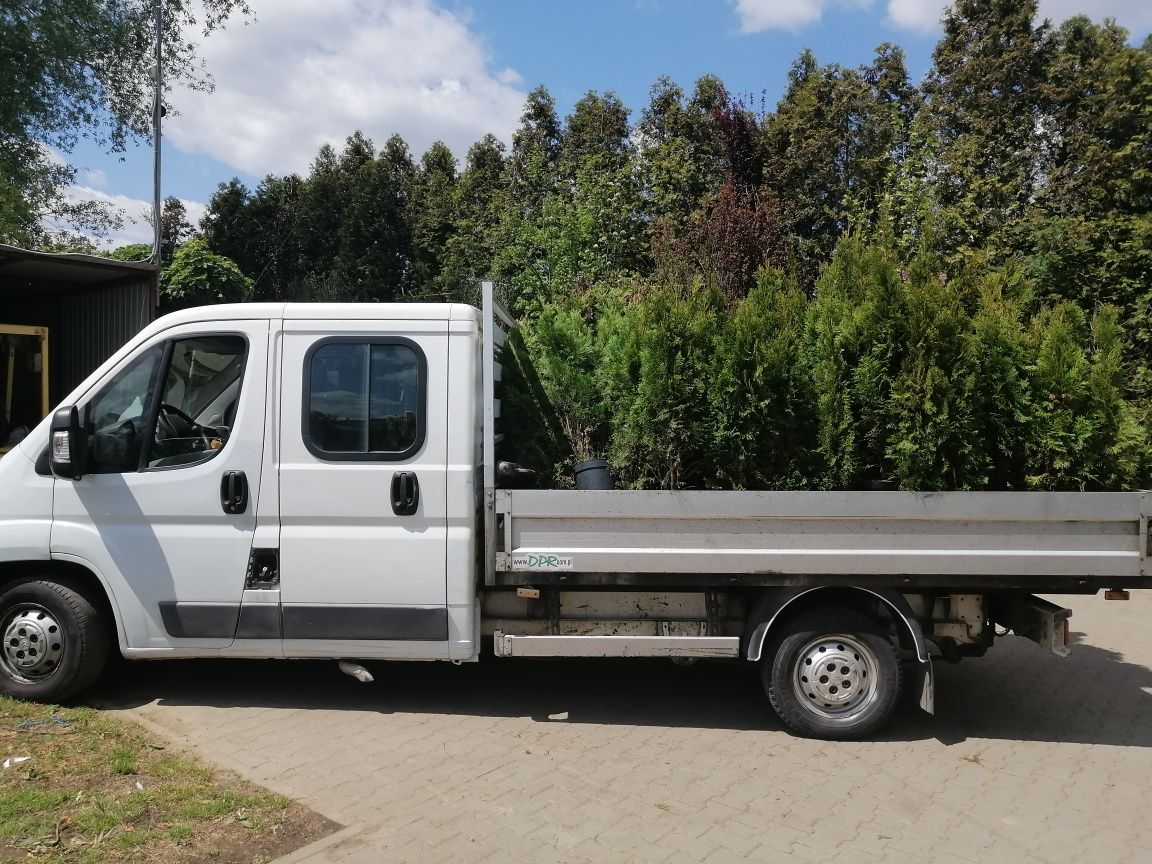 Usługi glebogryzarką.pielegnacja roślin. grodnik od AdoZ.Sycow+60km