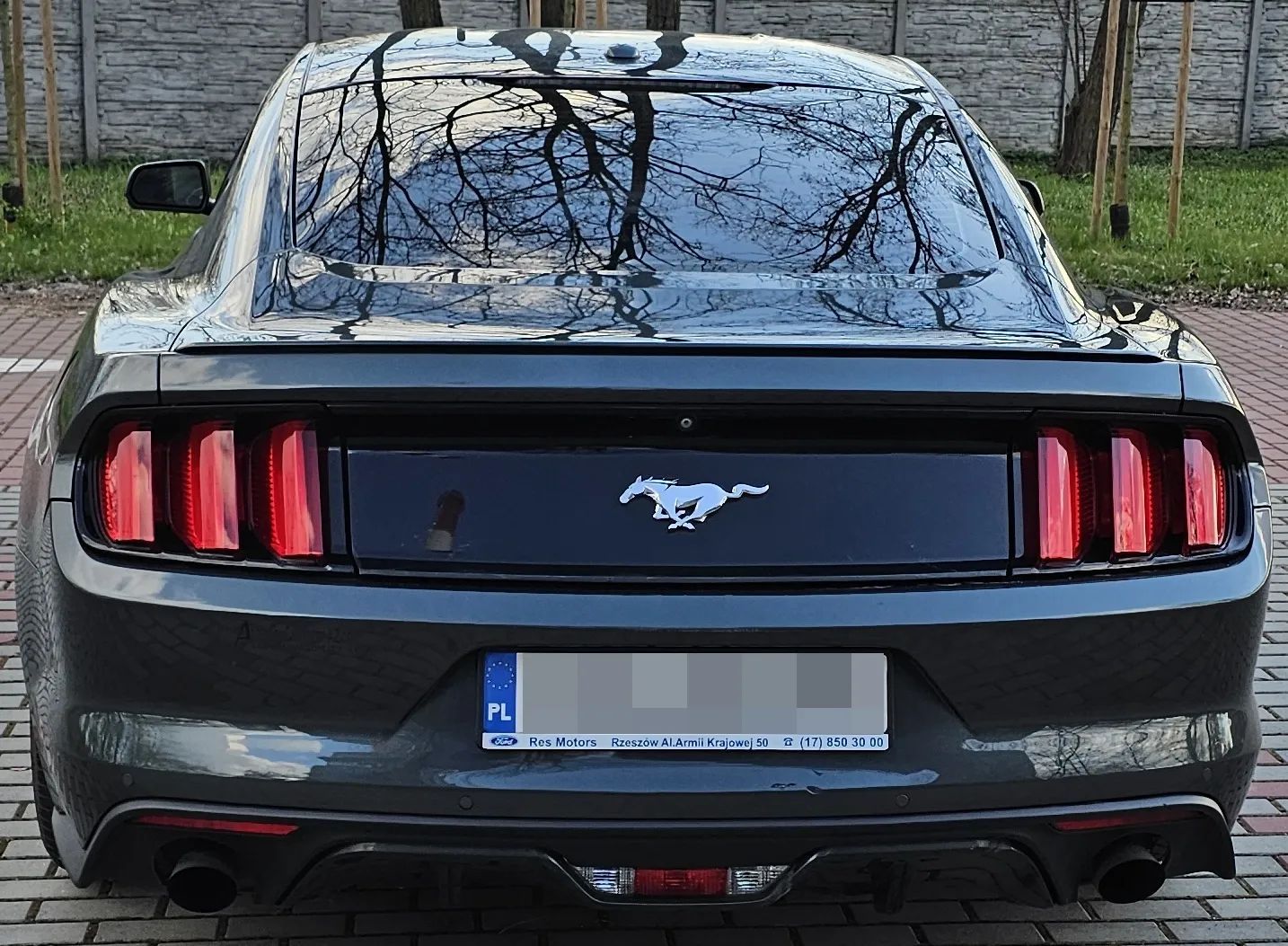 Ford Mustang Ford Mustang EcoBoost Premium 2015
