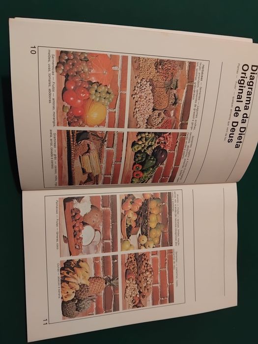 Livro “os campeões são vegetarianos …e você?”