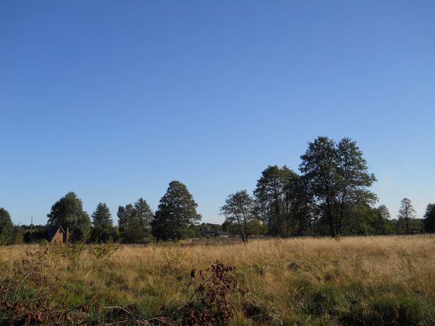 Działka 3000 m2 - Sokule woj. Mazowieckie