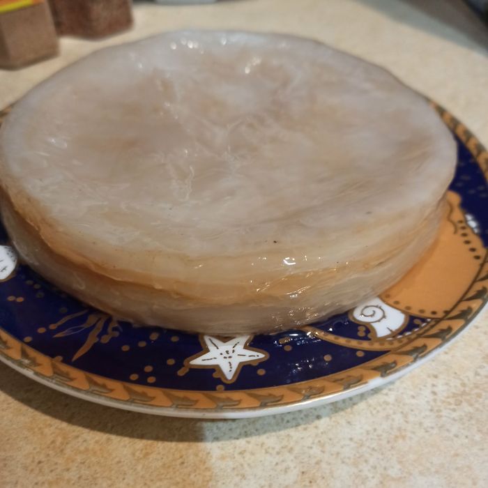 Чайний гриб має антибіотик-медузин!