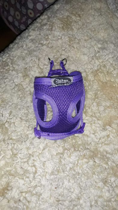 Продам шлійку для мініатюрної собачки цуцика кота