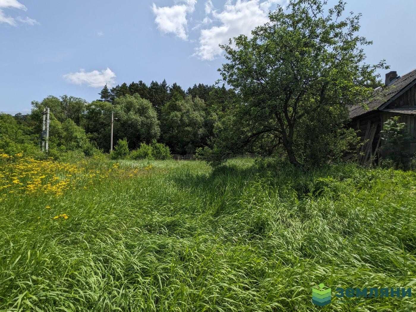 Продається ділянка під будову Рибне (1)