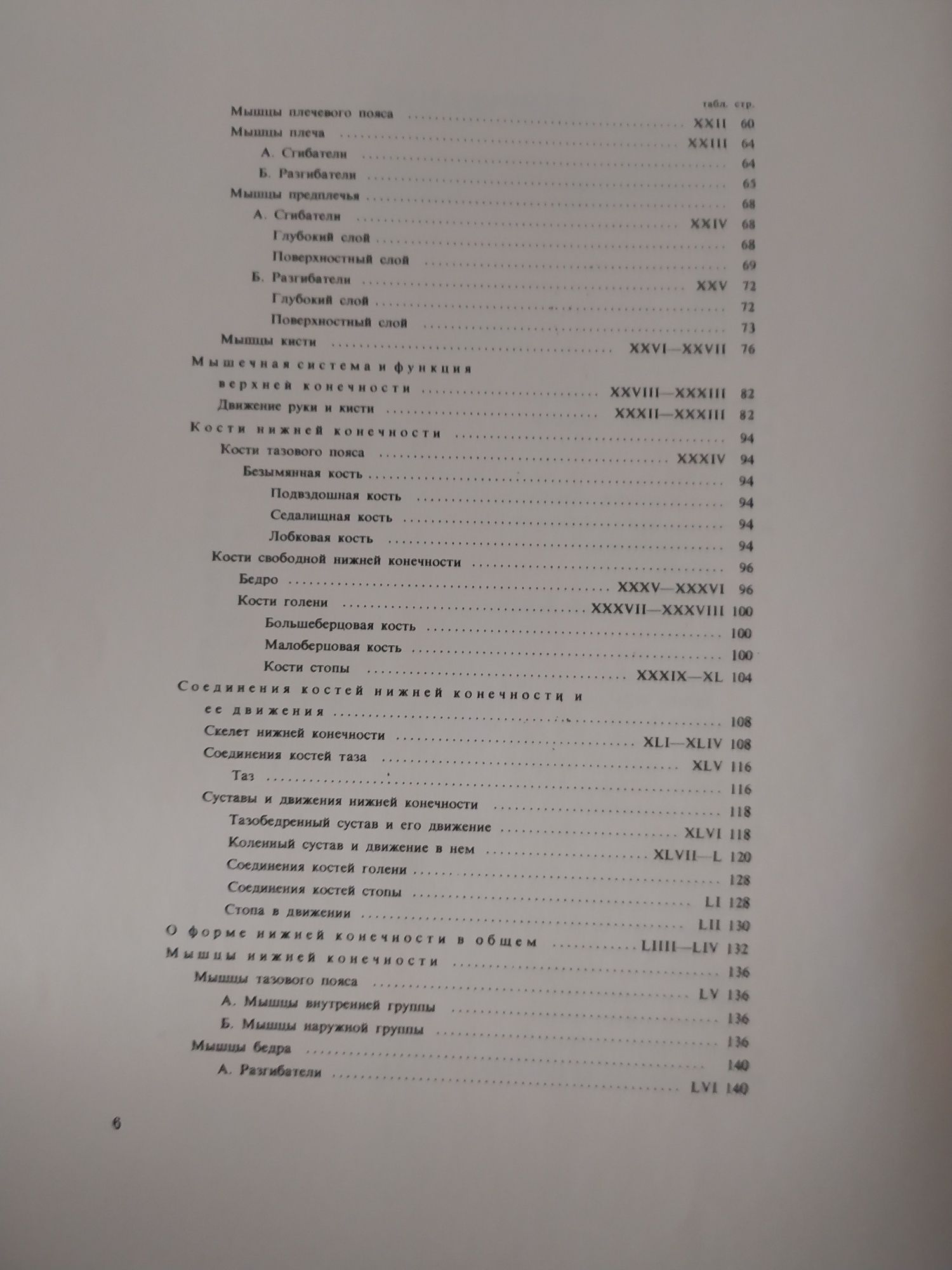 Анатомия для художников